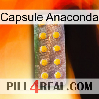 Anaconda Capsule new11